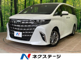 左右独立ムーンルーフ 13.2型後席モニター 両側電動スライドドア