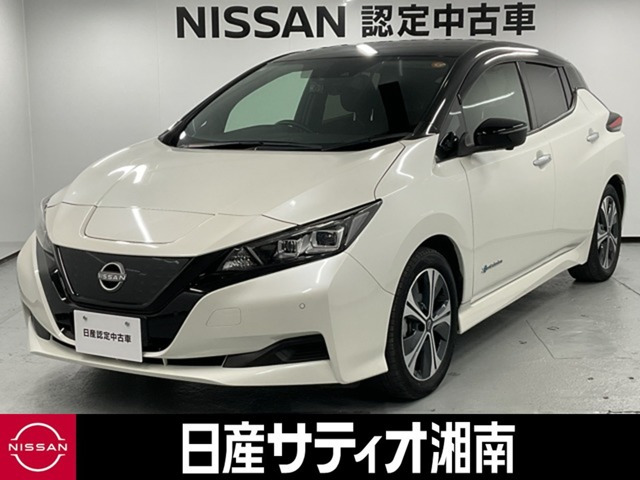 リーフ X Vセレクション