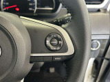 前方の車との車間を設定し、スピードを上げたり緩めたりを自動で行ってくれる追尾式の「レーダークルーズ」。上級装備の一つです!高級車にしかつかない嬉しい機能です。