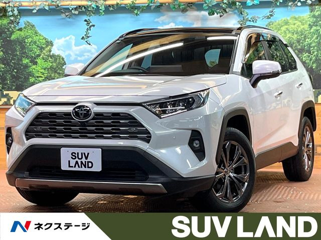 RAV4 2.0 G 4WD