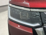 LEDヘッドライトは、点灯の瞬間から最大光量を発揮し、突然暗くなるトンネルなどでの安定感を高めます。