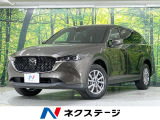 純正10型ディスプレイオーディオ 全周囲カメラ 衝突被害軽減 禁煙車