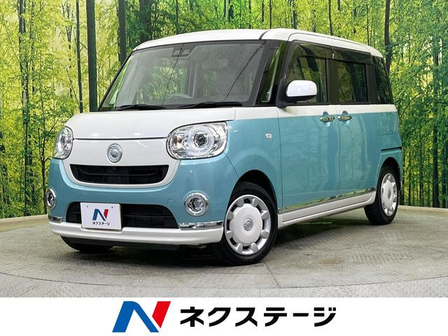 ムーヴキャンバス G メイクアップ リミテッド SAIII 