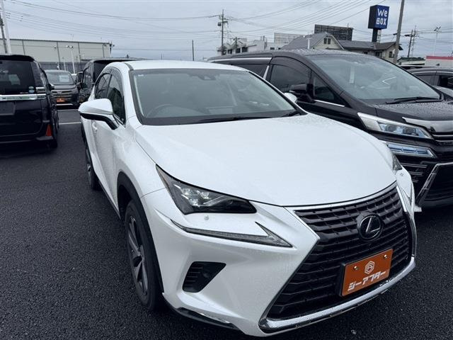 NX 300h Iパッケージ 4WD 