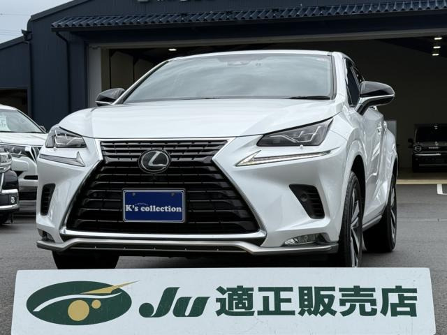 NX  スパイス&シック ワンオーナー車 サンルーフ 黒革シート メーカーSDナ