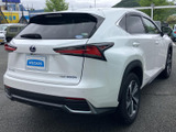 NX 300h バージョンL 