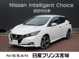 当店の、リーフを検索して頂き誠にありがとうございます。