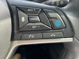 これが噂のプロパイロット♪運転支援システムではありますがハンドルは優しく手を添えていてください♪
