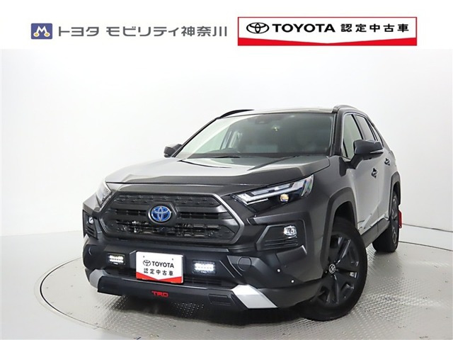 RAV4  2.5 ハイブリッド アドベンチャー E-Four 4WD