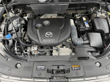 同業者様への販売はお断りさせていただきます。 車検無し車両の場合は、車検を取得したお支払い総額で表示しております。
