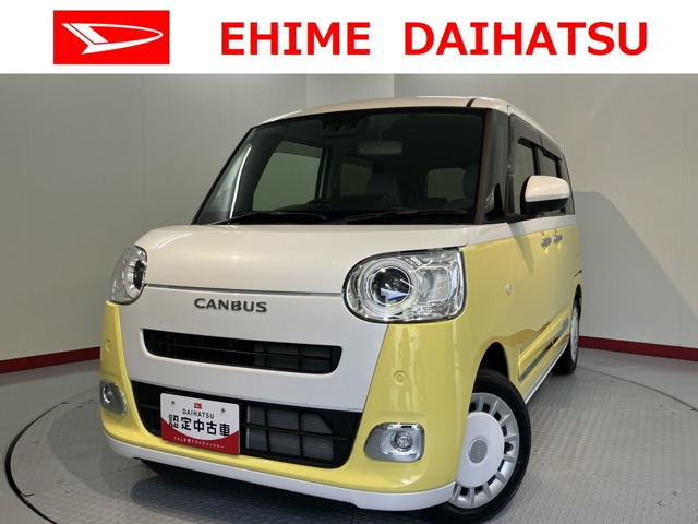 ムーヴキャンバス  ストライプス G