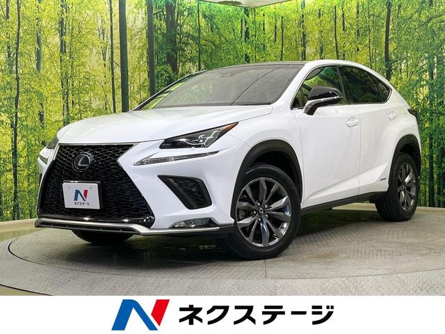 NX 300h Fスポーツ 