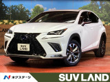 レーダークルーズ 禁煙車 電動リアゲート レザーシート 前席シートエアコ
