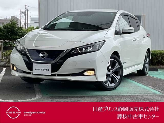 リーフ G