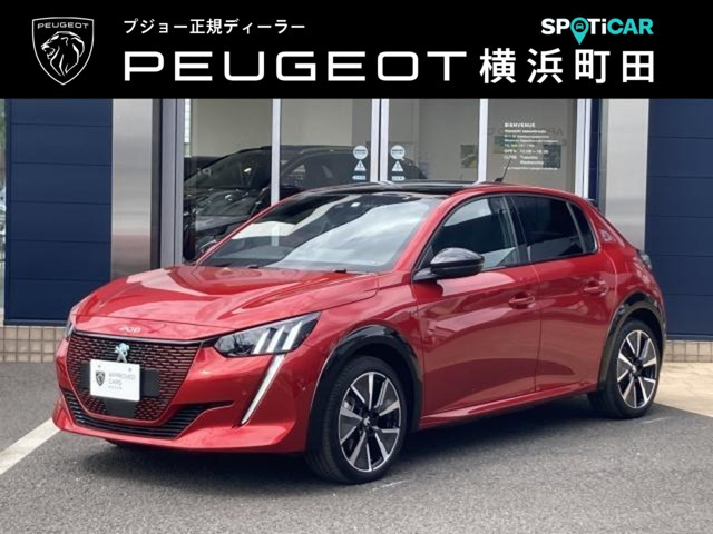 e-208 GT