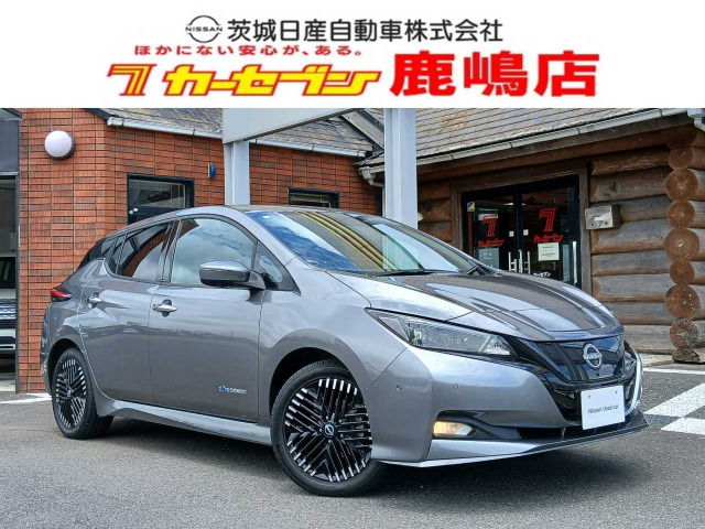 リーフ e+ G
