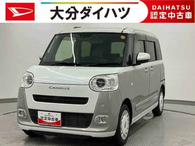 ムーヴキャンバス  ストライプス G