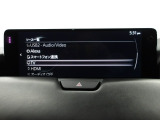 メーカーオプションTVチューナー付!