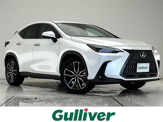 NX 250 バージョンL 本革シート 修復歴無し