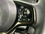 クルーズコントロールを装備しています。高速道路などで一定の速度で走ってくれるので運転が楽ですよ!速度を設定できますので、スピードの出しすぎにも注意できます。
