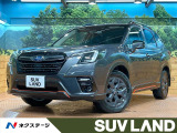 フルセグ 視界拡張 電動リアゲート パワーシートセット ルーフレール