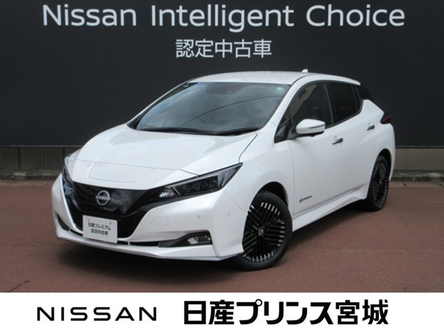 リーフ e+ G