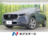 純正SDナビ 全周囲カメラ 衝突被害軽減システム レーダークルーズ