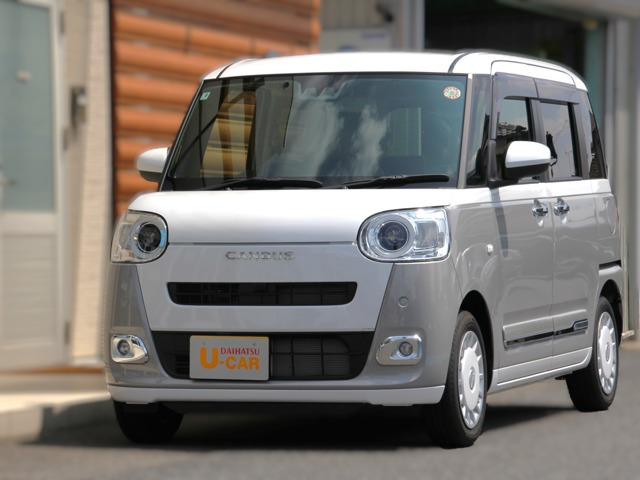 ムーヴキャンバス  ストライプス G
