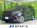 両側電動ドア 後席モニター 全周囲カメラ 100V電源