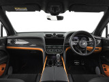前車追従機能、レーンキープアシスト、ヘッドアップディスプレイも付いており、多数のオプションを備えております。