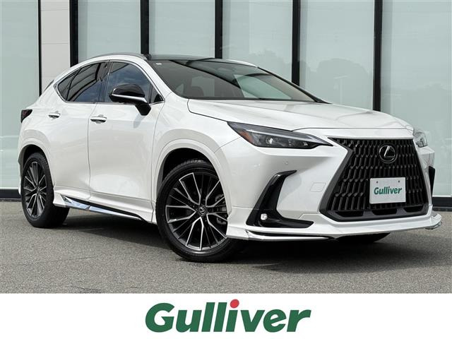 NX 250 サンルーフ 修復歴無し