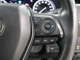 レーダークルーズコントロール作動時に車線維持に必要な運転操作の支援を行う「レーントレーシングアシスト(LTA)」を搭載しています。