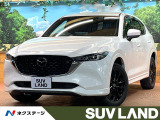 禁煙車 BOSEサウンド 10型ディスプレイ 全周囲カメラ ETC