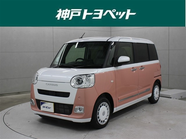 ムーヴキャンバス  ストライプス G