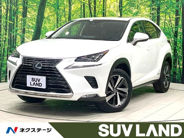 NX 300h バージョンL 