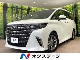 レーダークルーズ パノラミックビューモニター 禁煙車 合皮シート