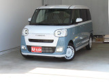 ムーヴキャンバス  ストライプス G