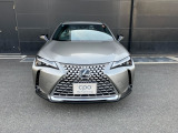 UX 250h グレイスフル エクスプローラー 
