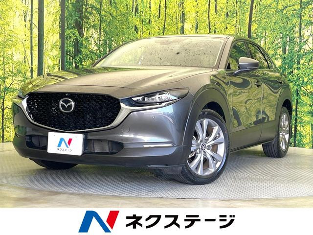 CX-30 2.0 20S プロアクティブ 