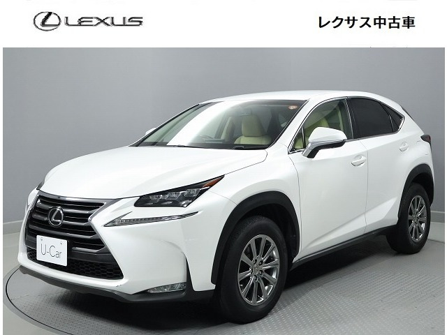 NX 300 Iパッケージ