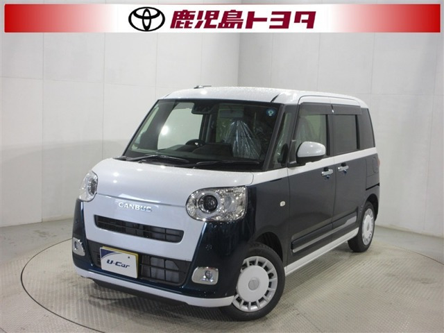 ムーヴキャンバス  ストライプス G