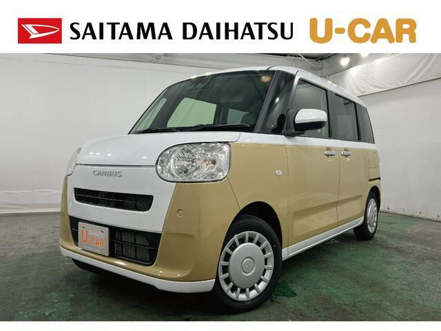 ムーヴキャンバス  ストライプス X