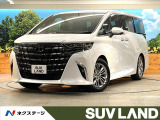 ガラスルーフ 両側電動スライドドア フリップダウンモニター LEDヘッド