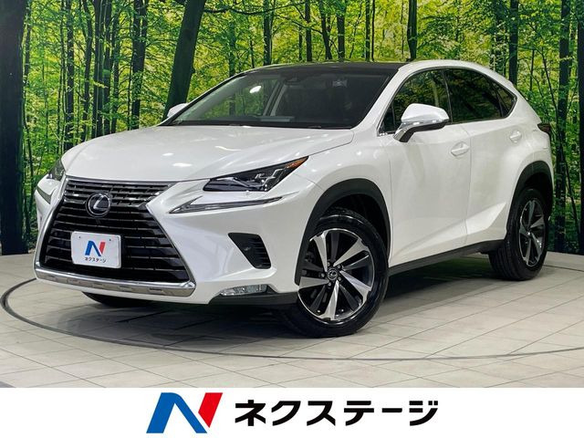 NX 200t Iパッケージ
