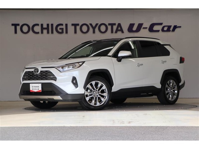 RAV4  2.0 G Zパッケージ 4WD