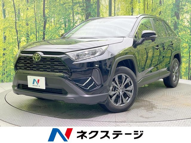 RAV4 2.0 X 