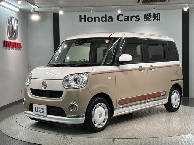 ムーヴキャンバス G メイクアップ SAIII 