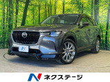 沖縄県内での販売・登録が条件※宮古島除く