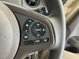 クルーズコントロールを装備しています。高速道路などで一定の速度で走ってくれるので運転が楽ですよ!速度を設定できますので、スピードの出しすぎにも注意できます。