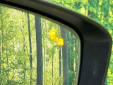 【ブラインドスポットモニタリング】走行中、ドアミラーの死角になりやすい箇所に後続車が接近するとサイドミラー付近に警告を表示、ドライバーに注意喚起をしてくれます。